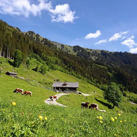 Appartement-pension Kendlbacher 4* Grossarl